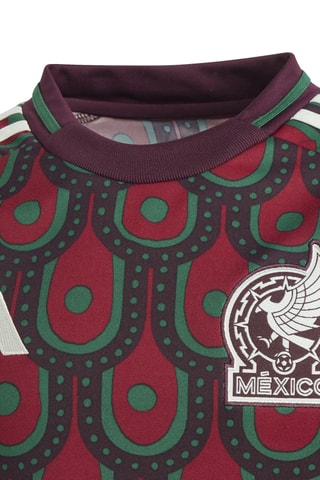 Maillot de football Mexique - Bordeaux et vert foncé