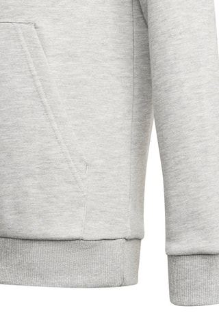 Sweat à capuche Essentials - Gris clair chiné