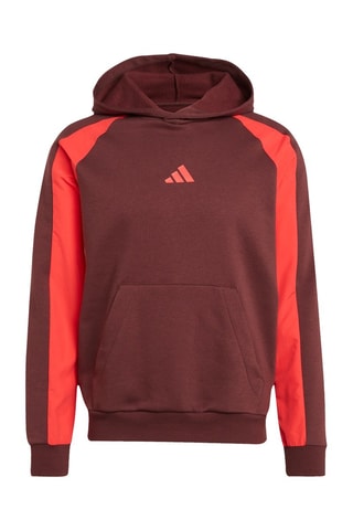 Sweat à capuche - Bordeaux