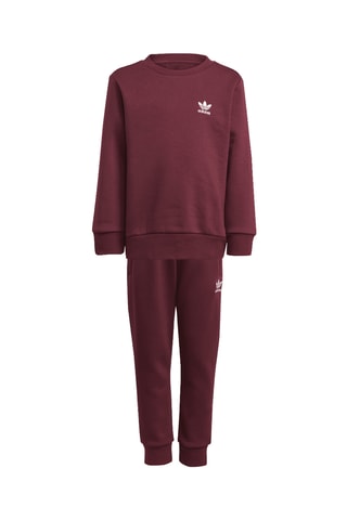 Sweat et pantalon Adicolor Crew - Marron foncé et blanc