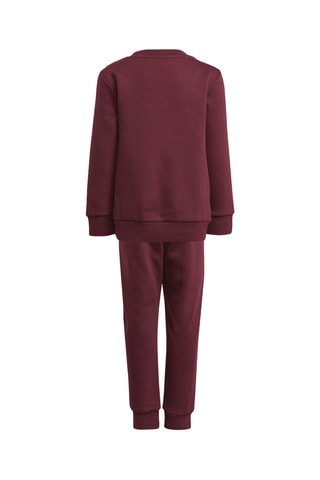 Sweat et pantalon Adicolor Crew - Marron foncé et blanc