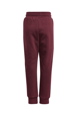 Sweat et pantalon Adicolor Crew - Marron foncé et blanc