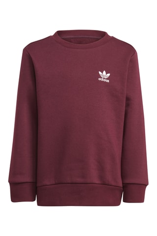 Sweat et pantalon Adicolor Crew - Marron foncé et blanc