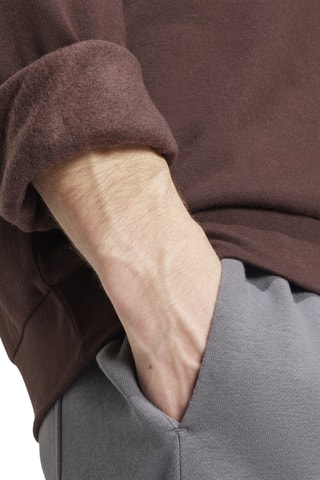 Sweat regular Essentials - Marron