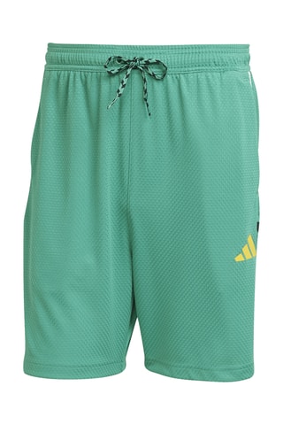 Short House of Tiro - Vert d’eau