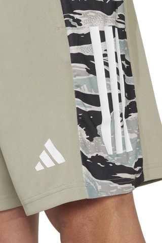 Short regular Essentials - Argenté et kaki