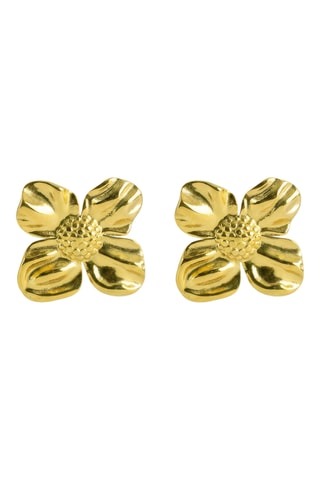 Oorbellen - Doublé Geelgoud