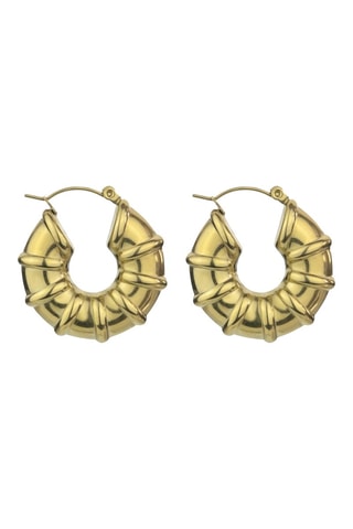 Creolen - Goudkleurig - Marc Malone