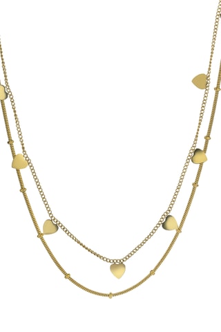 Ketting Raven - Goudkleurig Roestvrij Staal 