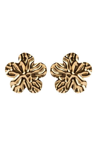 Oorbellen - Goudkleurig