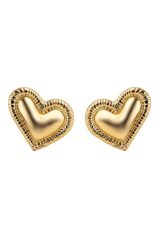 Oorbellen  - Doublé Geelgoud Emily Westwood