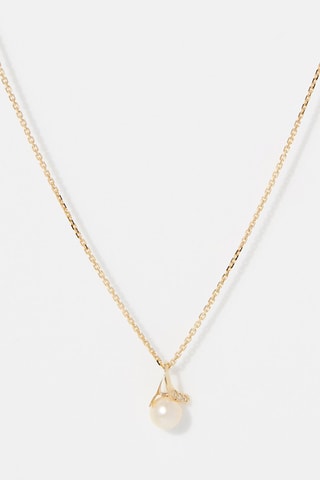 Hanger Phenix Geelgoud en Cultivéparel