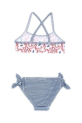 Bikini - Wit en Marineblauw
