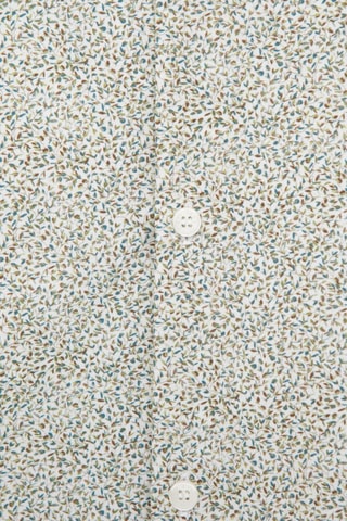 Camicia slim in cotone bio - Pistacchio - IKKS