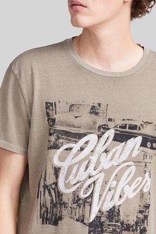 T-shirt in cotone bio - Kaki - IKKS