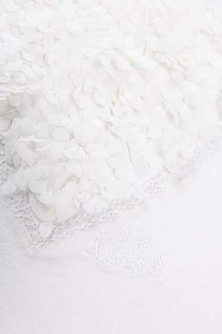 T-shirt in cotone bio - Ecrù - IKKS