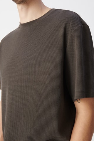 T-shirt in cotone bio - Kaki - IKKS