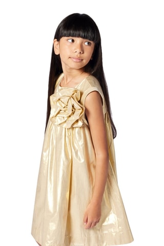 Vestido trapecio - Dorado - Karl Lagerfeld