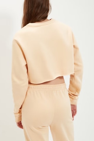 Korte Sweater - Bruin - Ellesse