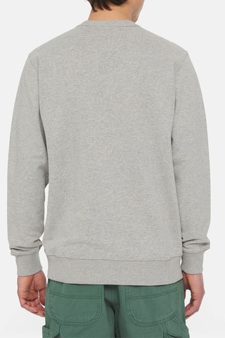 Sweater - Lichtgrijs - Dickies 