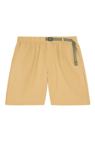 Short - Bruin - Vans