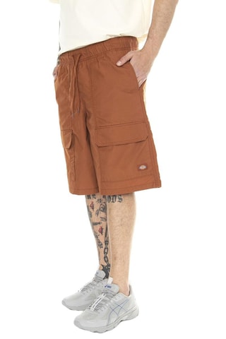 Short regular - Beige - Dickies