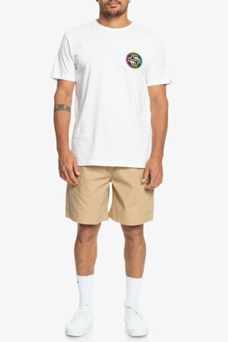 Biologisch Katoenen Cargoshort - Bruin - Quicksilver