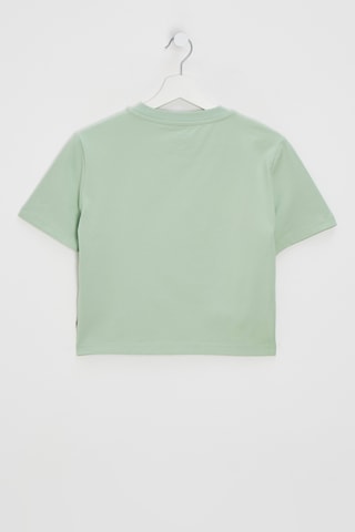 T-shirt - Groen - Dickies