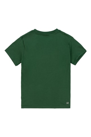 T-shirt - Vert