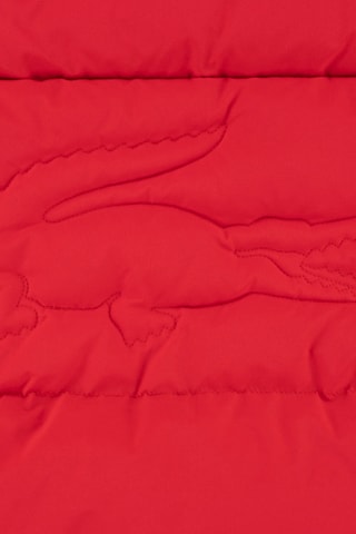 Doudoune à capuche - Rouge