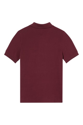 Polo - Bordeaux