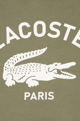 Sweat à capuche - Vert