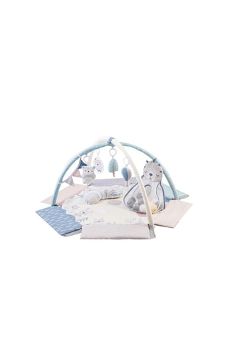 Tapete de desenvolvimento Pastel 
Malva e azul