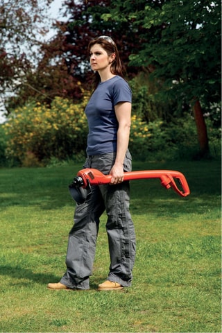 Coupe-bordure - 250 W