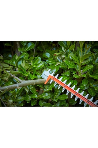 Taille-haies sans fil - 36 V