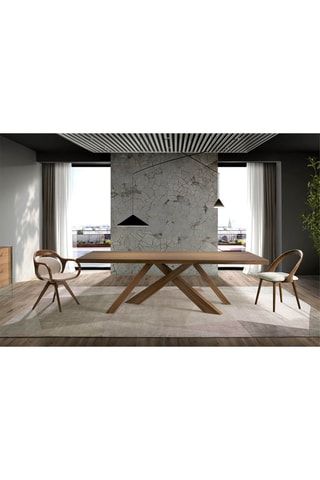 2 sedie in legno - 52 x 100 x 62 cm