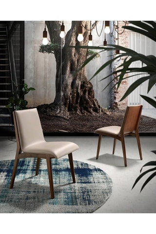 2 sedie in legno - 54 x 75 x 54 cm