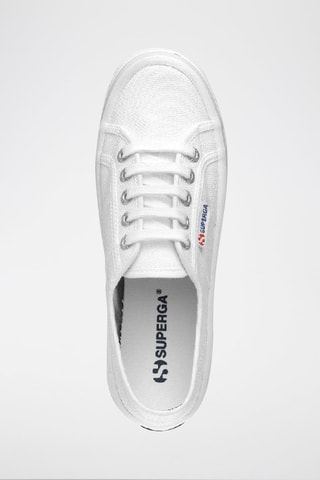 Zapatillas 2555-COTU - Blanco