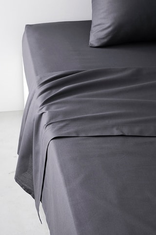 Drap plat en coton 57 fils/cm² Essential - Fusain