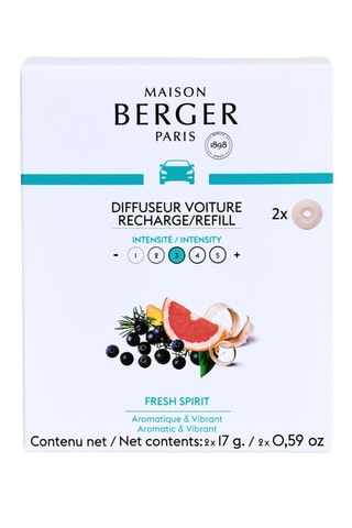 6 recargas em cerâmica para difusor de automóvel - Fresh Spirit