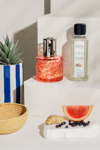 Candeeiro de catálise - Fresh Spirit - 249 ml