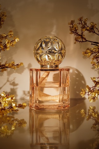 Candeeiro de catálise e recarga - Pétillance Exquise - 250 ml