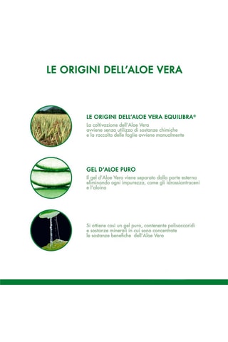 Aloe Vera Slim Equilibra - 2 x 500 ml