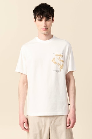 T-shirt direita - Cru