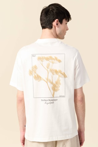 T-shirt direita - Cru