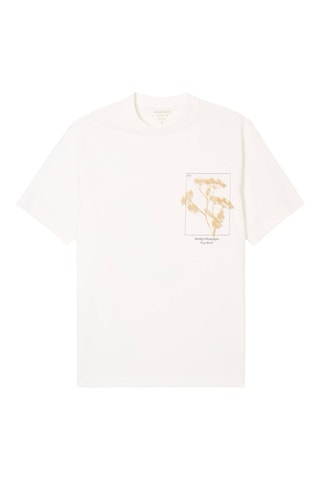 T-shirt direita - Cru