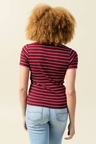 Polo em algodão biológico - Vermelho