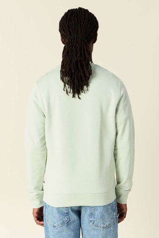 Biologisch Katoenen Sweater - Lichtgroen