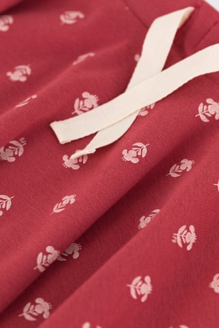 Saia - Vermelho-tijolo