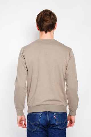 Sweater - Beige